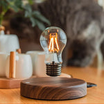 Magnetic Levitation Floating Bulb Desk Lamp