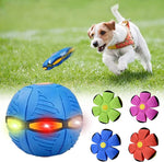 Durable Dog Frisbee