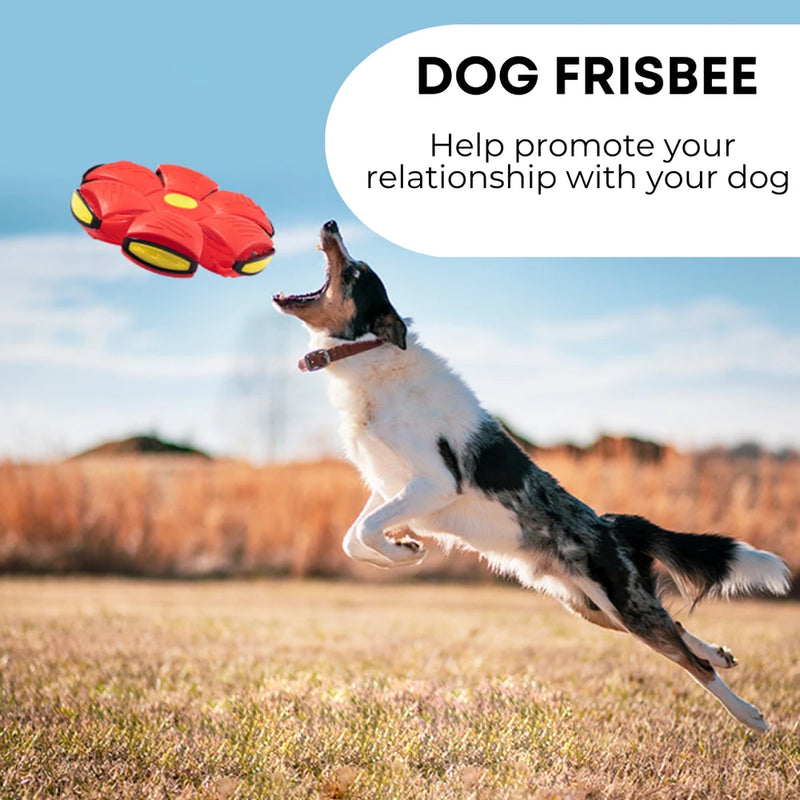 Durable Dog Frisbee