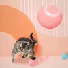 Interactive Dog Ball