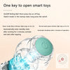 Interactive Dog Ball