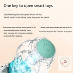 Interactive Dog Ball