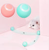 Interactive Dog Ball