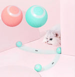 Interactive Dog Ball
