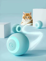 Interactive Dog Ball