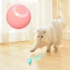 Interactive Dog Ball