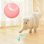 Interactive Dog Ball