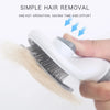 Self Cleaning Pet Grooming Brush