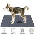 Washable Dog Urine Mat