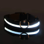 Nylon LED Flashing Glow Dog Collar