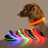 Nylon LED Flashing Glow Dog Collar
