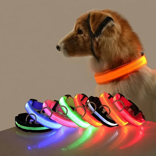 Nylon LED Flashing Glow Dog Collar