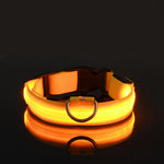 Nylon LED Flashing Glow Dog Collar