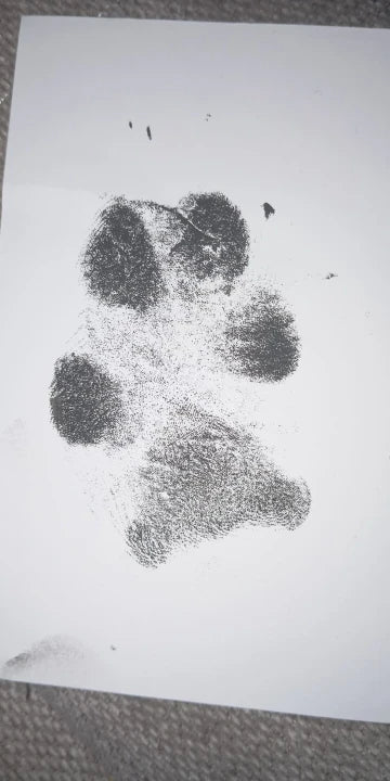 Review Card