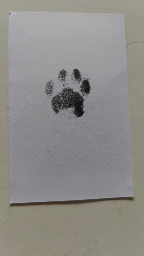 Review Card
