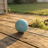 Interactive Dog Ball
